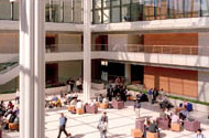 University of Chicago 